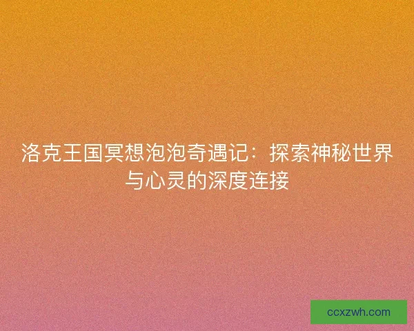 洛克王国冥想泡泡奇遇记：探索神秘世界与心灵的深度连接