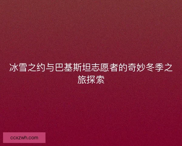 冰雪之约与巴基斯坦志愿者的奇妙冬季之旅探索