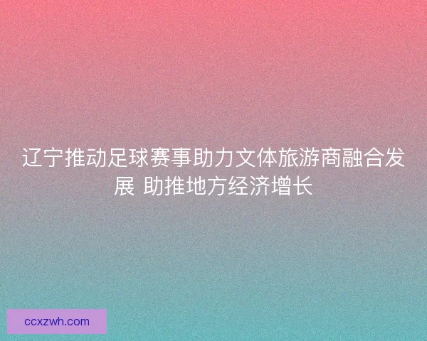 辽宁推动足球赛事助力文体旅游商融合发展 助推地方经济增长