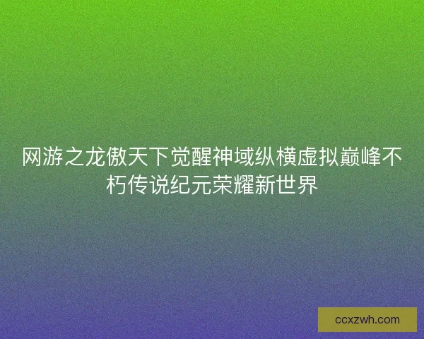 网游之龙傲天下觉醒神域纵横虚拟巅峰不朽传说纪元荣耀新世界